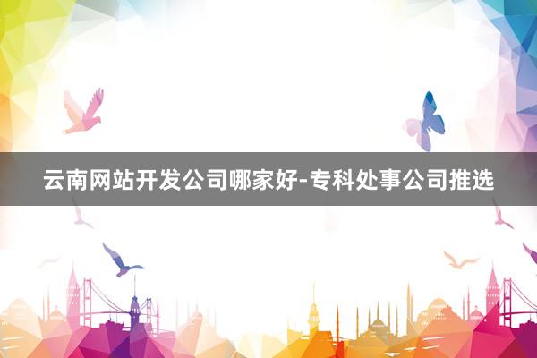 云南网站开发公司哪家好-专科处事公司推选