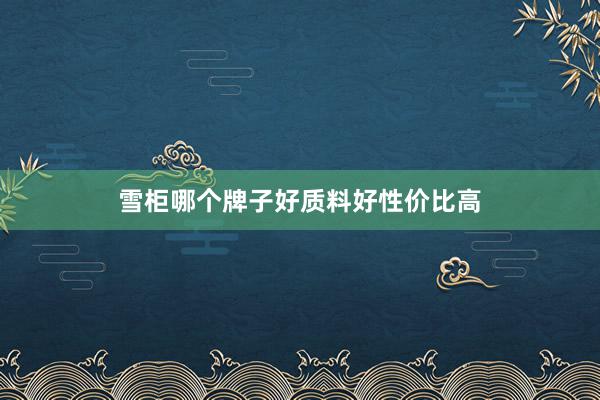 雪柜哪个牌子好质料好性价比高