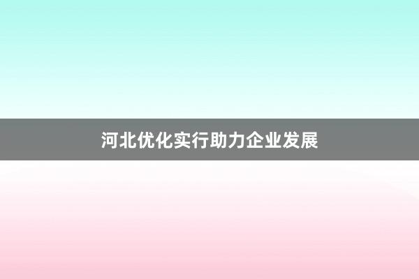 河北优化实行助力企业发展