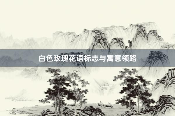 白色玫瑰花语标志与寓意领路