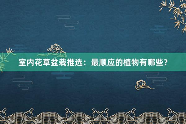 室内花草盆栽推选：最顺应的植物有哪些？
