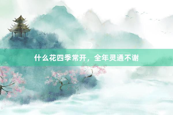 什么花四季常开，全年灵通不谢